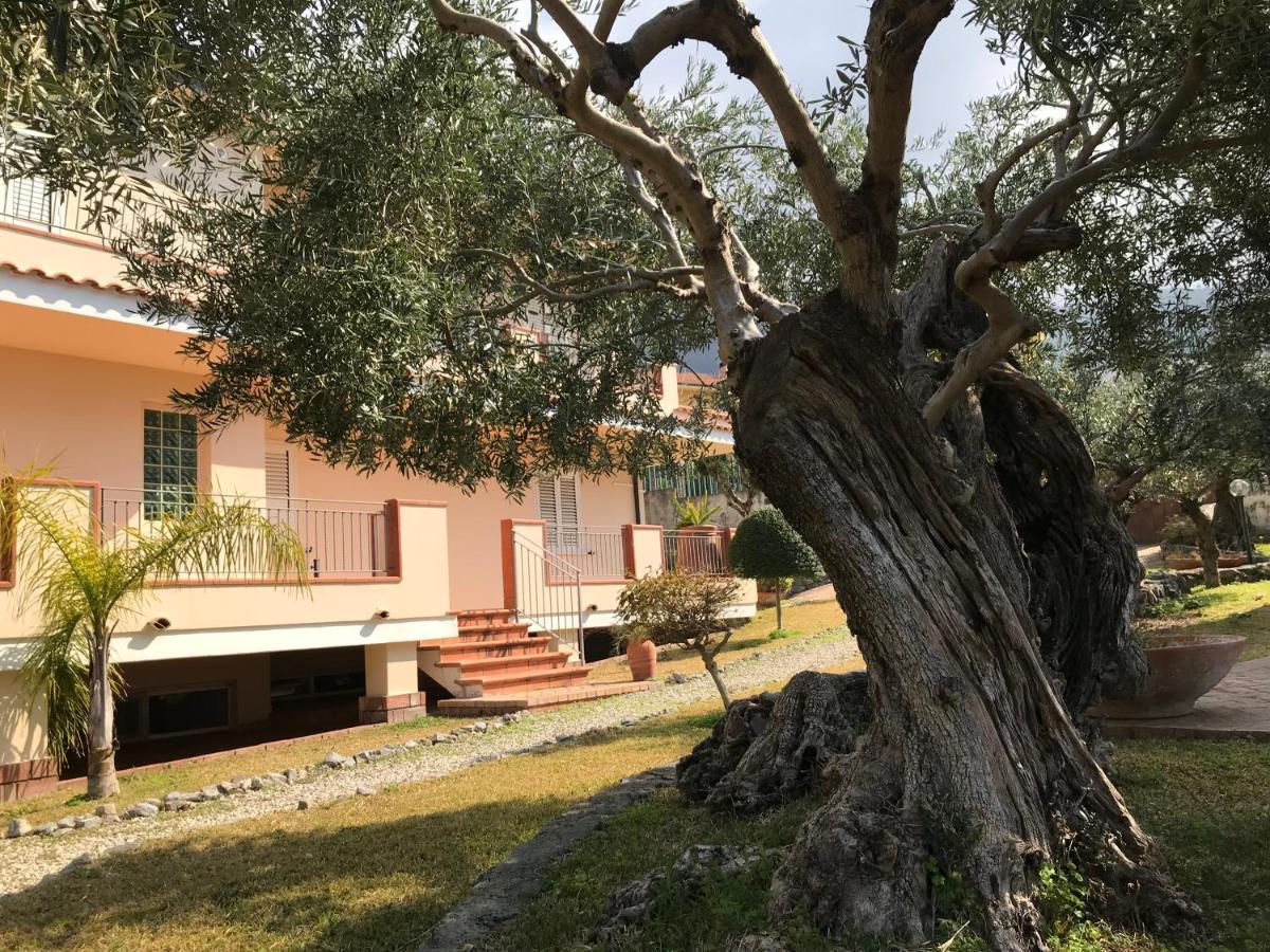B&B Villa Degli Ulivi ปรายาอามาเร ภายนอก รูปภาพ