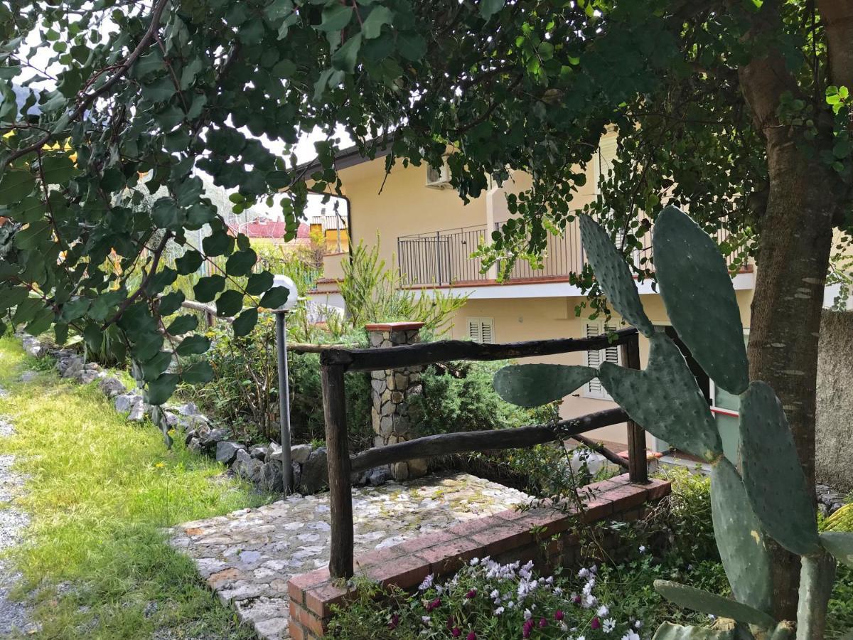 B&B Villa Degli Ulivi ปรายาอามาเร ภายนอก รูปภาพ