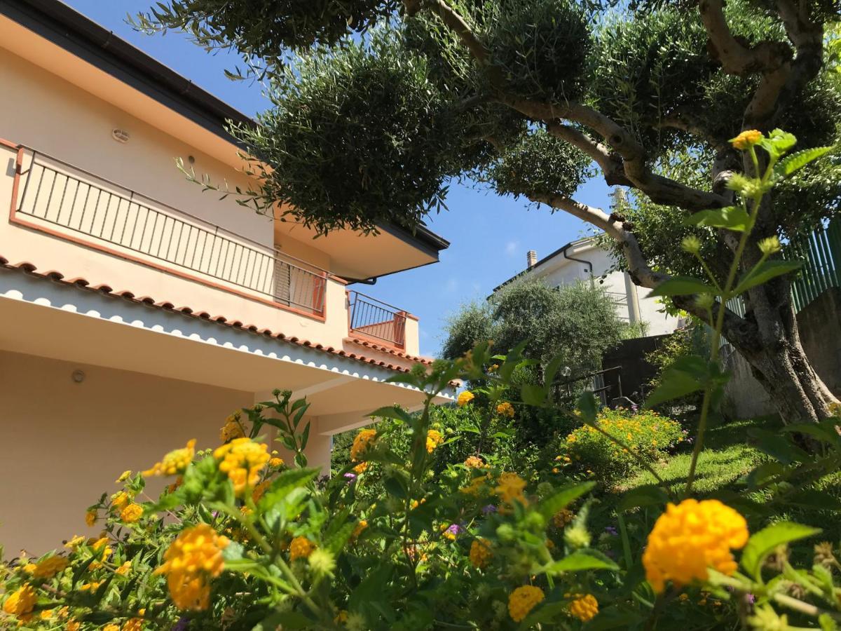 B&B Villa Degli Ulivi ปรายาอามาเร ภายนอก รูปภาพ